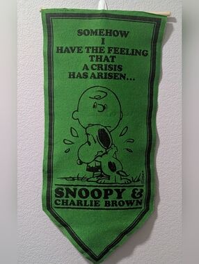 Vintage Charlie Brown And Snoopy Pennant 70s